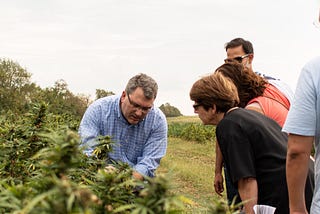 FDA, Floral Hemp, and CBD — What a Mess!