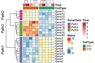 30 R Packages For Data Visualization That You May Not Know Of