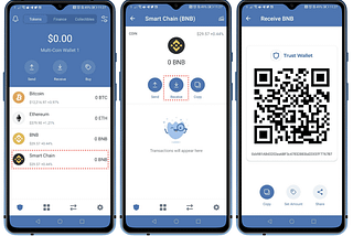 Getting Acquainted to Binance Smart Chain