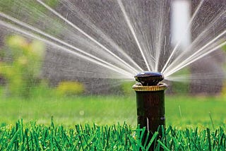 The Most Effective Irrigation System: Drip Irrigation