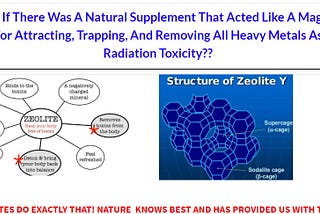 How to detox heavy metal nano particles?