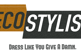 Case study: Styling the stylist, a redesign of Eco-Stylist