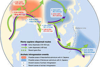 Map of Homo sapiens dispersal routes and admixture between archaic and modern humans Migration pathways of H. sapiens are supported by archeological evidence. Translucent red and blue represent possible ranges for contact between archaic and modern humans. The waves, admixture proportions, and dates inferred in our study are labeled in boxes in white. kya thousand years ago.