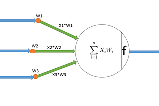 Function of the neuron