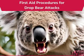 Drop Bear article header