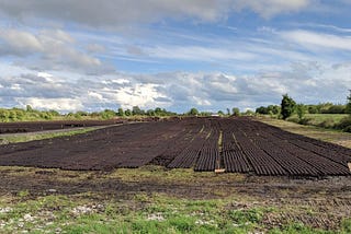 Why We Must Protect Peatlands