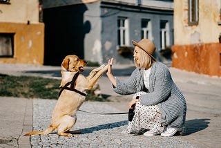 Woman kneeling and high fiving a dog.