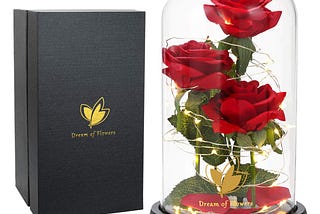 sexy naked clothes Disney Princess Beauty & The Beast Live Action - Enchanted Rose Musical  Jewelry Box Toy