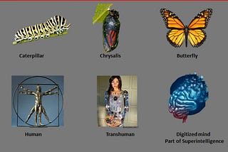 Becoming a Butterfly. How can humans gradually become part of Superintelligence?
