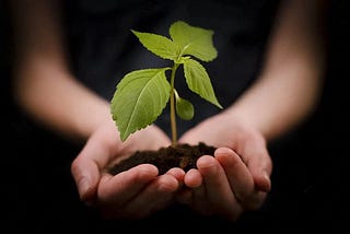 acquiring a skill, skill, soft skills, interpersonal skills, critical thinking, communication skills