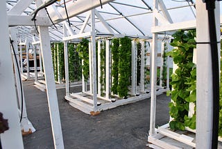 How to Build a Hydroponic Tower for Your Indoor Garden