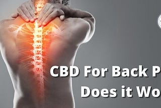 Does CBD Work for Back Pain?