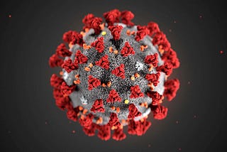 COVID-19 vs. Your Immune System — Antibody Testing