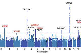 What are Genome-Wide Association Studies?