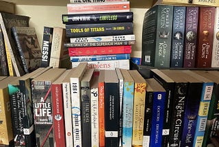 The Paneer Paradox : Can Self-Help and Literature Coexist?