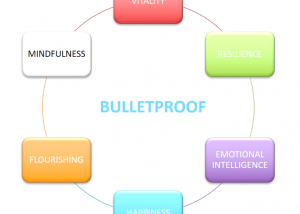 Do This: Find your Bulletproof Baseline (six new assessments)