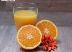 Benefits of Orange juice — for skin, During pregnancy etc.