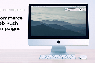 Learn how to send the perfect web push for eCommerce brands