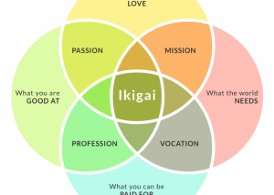 The Secret of IKIGAI
