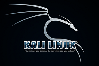 Problem Wifi Kali Linux not working
