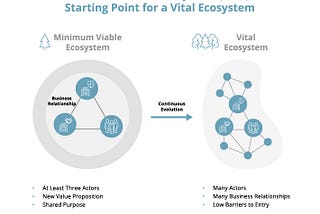 Manuel Audi and Florian Weihe on minimum viable ecosystems, the central meaning of purpose
and why…