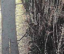 Shadow and Light