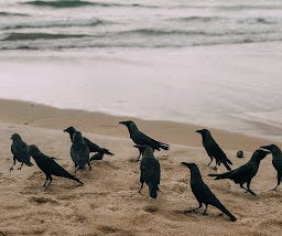 Calling a Murder of Crow Womyn: Calling on Crones Becoming