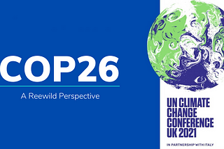 COP26: A Reewild Perspective.