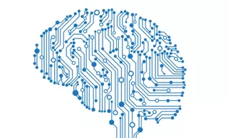 machine learning brain