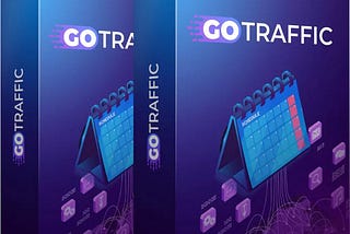 GO Traffic Review