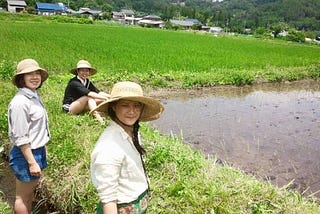 On Rice, the Spark of Life