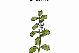 The 4 Crucial Chemical Constituents of Bacopa monnieri (Brahmi) that you did not know 🤩