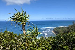 Three Money Lessons From My Hawaiian Vacation