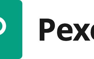 How to work Pexels API with javascript