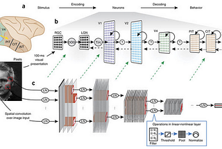 Understanding Convolutional Neural Network (CNN).