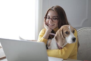 Amazing Business Advice From Dogs Business Advice