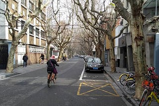 Trees of Shanghai