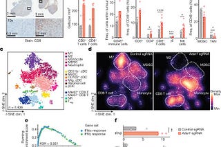 A review of Haining Lab’s work: Loss of ADAR1 in tumors overcomes resistance to immune checkpoint…