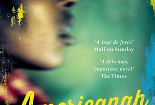 Book Review: Americanah by Chimamanda Ngozi Adichie