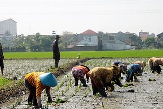 How Women Are More Prone to Climate Change Danger than Men