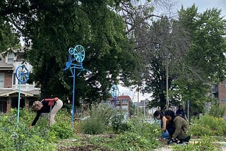 Restoration, parks and social determinants of health