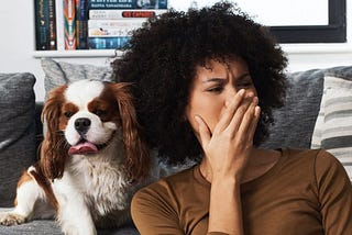 How do I keep my house from smelling like my dog?