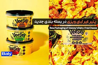بسته بندی جدید پنیرهای غیر لبنی ویزی