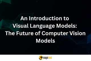 AN INTRODUCTION TO VISUAL LANGUAGE MODELS: THE FUTURE OF COMPUTER VISION MODELS
