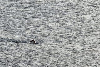 A lone swimmer in the sea