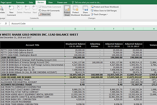 Protection Function in Microsoft Excel