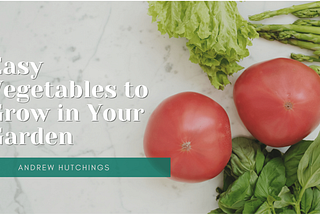 Easy Vegetables to Grow in Your Garden | Andrew Hutchings | Long Beach, CA