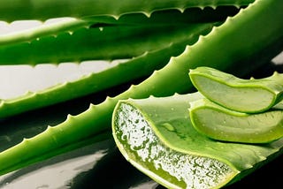6 x what aloe vera can do for your skin