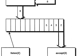 Demystifying the Accept Phase: A Dive into Linux Kernel Handling of Inbound Requests