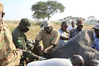 Protecting Wildlife in Uganda — Interview With EWCO